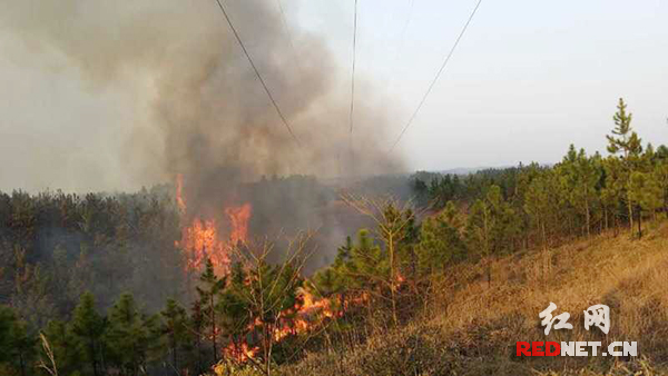 【新春走基层】电力员工一天处理9起山火 灭火