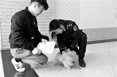非洲佛得角有多少人口_非洲饥饿儿童图片(2)