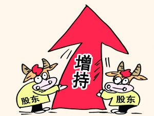 562家上市公司获重要股东净增持