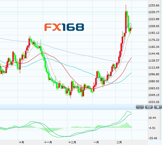 股市已然反弹!金价为何仍坚守1200关口上方?