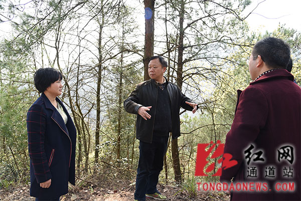 怀化市政协副主席黄雪鸿深入通道县扶贫村调研