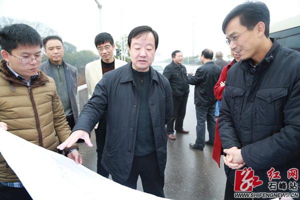 罗伟视察株洲石峰区重点项目建设