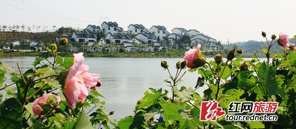 宁乡重奖征集旅游主题宣传口号 入围总奖金万