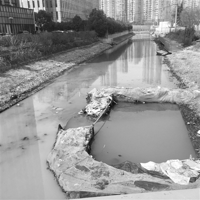 河西高档楼盘旁黑臭河煞风景,市民盼根治