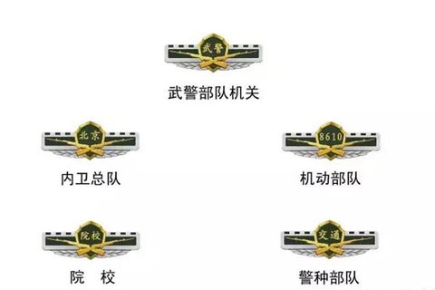 武警部队更换新式标志服饰