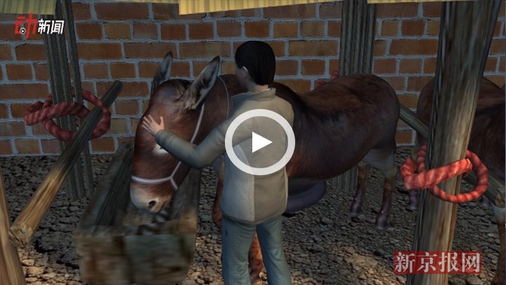 3D讲述:山东农妇一个 喷嚏 值四万  烧伤八头驴 _