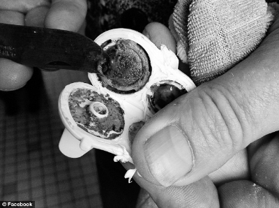 水瓶的防漏装置完全密封，平时无法打开清洗。家长吐槽说，这些脏东西黏糊糊的