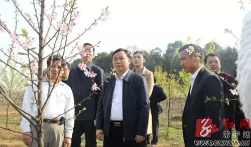 曾义国专题调度常宁两大农业特色项目