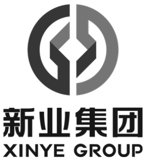 新疆新业国有资产经营(集团)有限责任公司公开