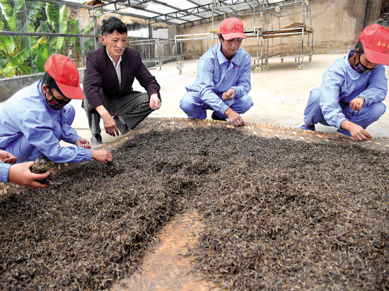 代表携VR全景视频上两会