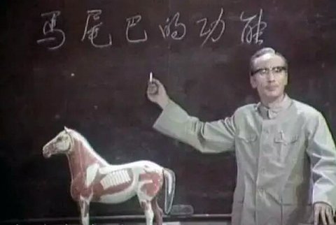△这个桥段十分著名,今天有不少网友发文悼念“再也听不到您给学员们讲解马尾巴的功能了。”