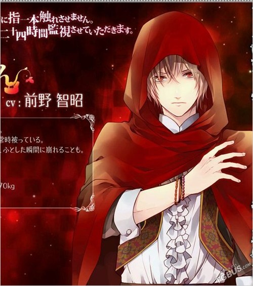 童话角色性转《大正x对称爱丽丝》游戏情报_电