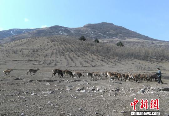 渭源县人口_甘肃省一个县,人口超30万,因为一条河而得名(2)