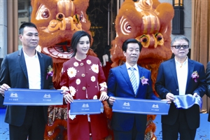 范冰冰助阵 华丰·前海湾点燃置业热点