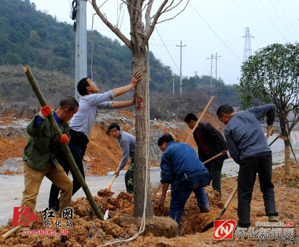 怀化城东高速公路延长线拓宽工程进入绿化美化