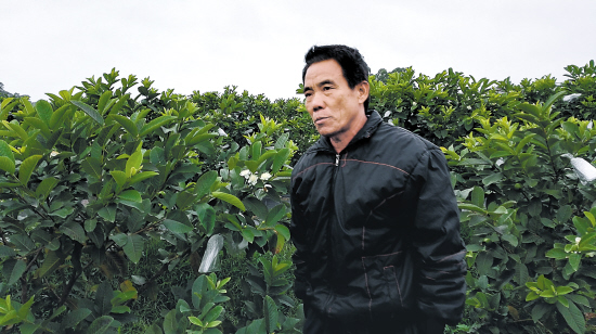 设立创新成果转化风险基金