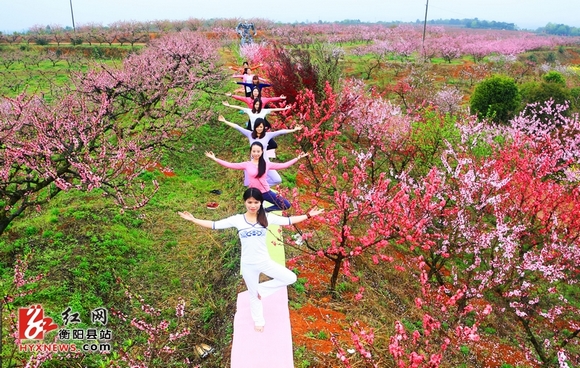 衡阳县三百亩桃花齐开放 仙子练瑜伽与花争艳