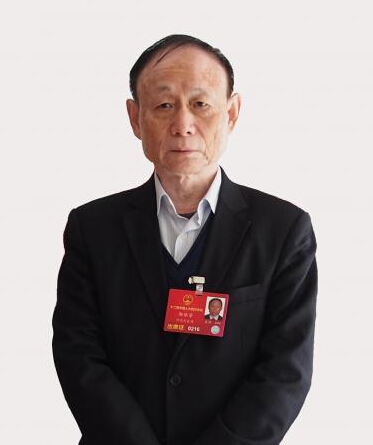 晶龙集团董事长_帅特龙集团董事长照片