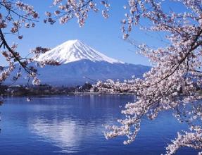 日本外国人达223万 中国人数居首位