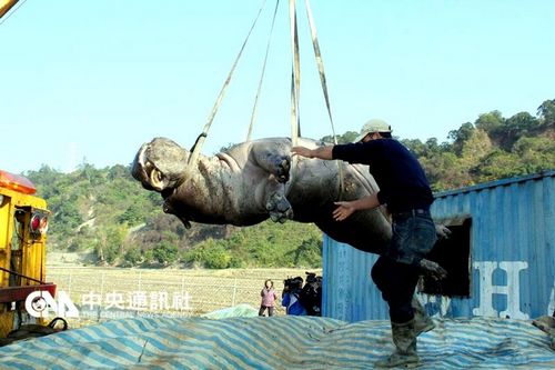 台河马阿河跳车伤重死亡 法院判饲主免交罚金