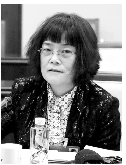 山西代表团: 人大监督体现了为民情怀