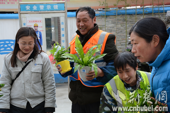 植物节的中建商砼:砼盆栽送工地,扮靓农民工生