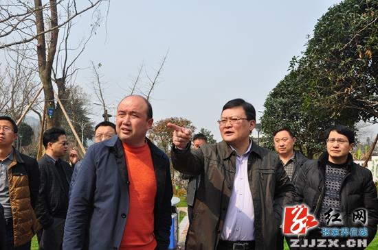 桑植县考察团赴永定区考察城市建设
