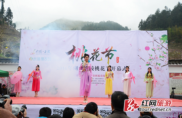 首届"互联网"桃花节炎陵开幕 千亩桃花朵朵开