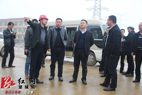 长沙市望城区严抓渣土扬尘治理工作pir   望城区副区长刘洪波(前排