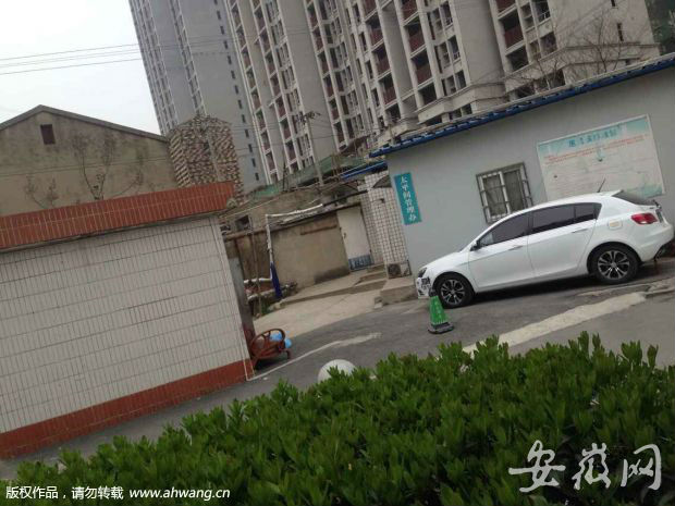  合肥 合作化路凌晨发生一起 车祸 致 3死2伤_新浪