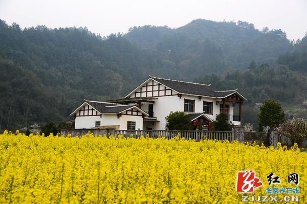 ... 就爱xxoo成人影院,千涩成人bt,狠狠搞中文网,皇色网站
