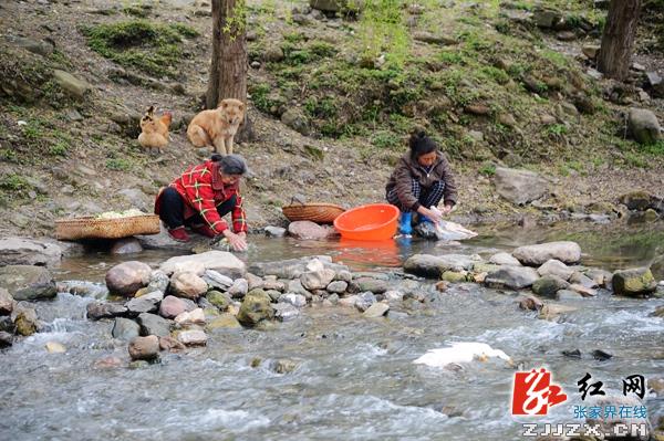 ... 就爱xxoo成人影院,千涩成人bt,狠狠搞中文网,皇色网站