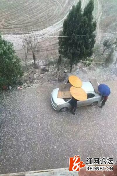 冰雹中衡南车主抬桌子护爱车 车被砸购买了车
