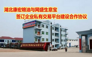 湖北康宏粮油与网盛生意宝签订企业私有交易平