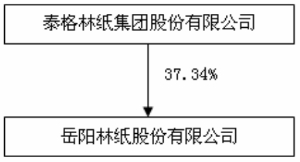 岳阳林纸股份有限公司2015年度陈述摘要