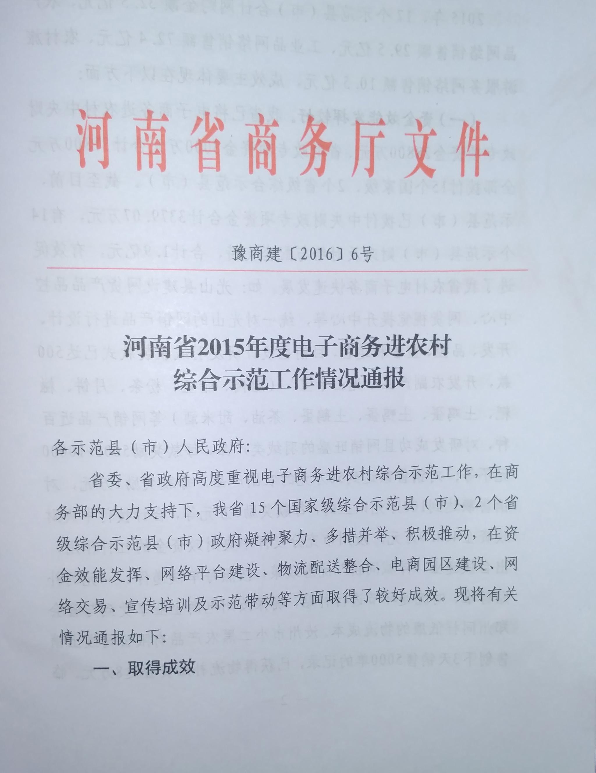 河南省2015年度电子商务进农村综合示范工作