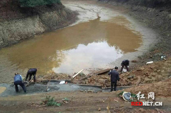 浏阳市沙市龙凤村全民出击 冬修水利显成效(图