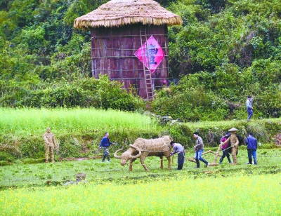 稻草雕塑现瑶寨