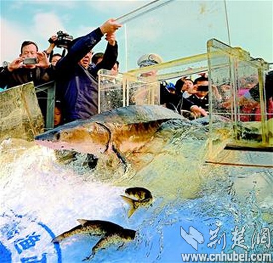 湖北三年立三法 密织一张生态大网