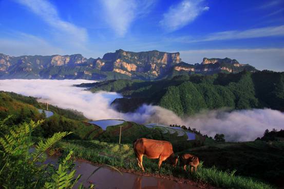 【纪检人·镜头】张家界之魂--天门山