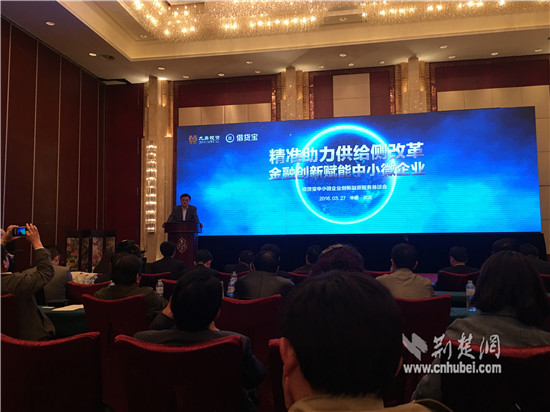 湖北省中小微企业创新融资服务恳谈会在汉举行