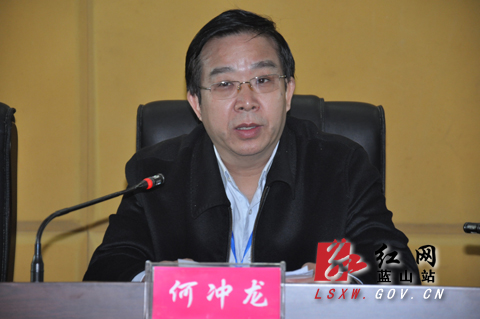 蓝山县召开深入推进专项整治工作暨基层党建工