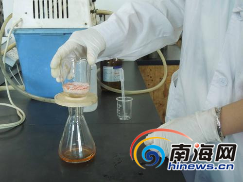 红鱼籽经浸泡，过滤后的水(锥形瓶内)变成红色。