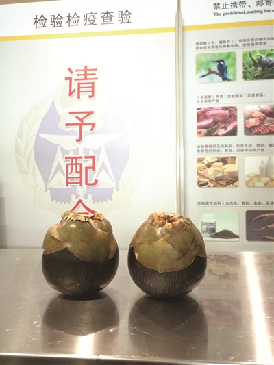 南京机场检验检疫局 首次截获炸弹果