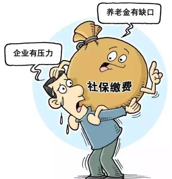 12地社保缴费费率降了! 你的待遇将…