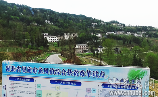 龙凤乡人口_龙凤呈祥图片