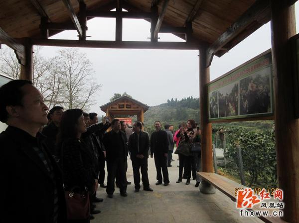 湘西州委党校处级干部培训班到凤凰县考察