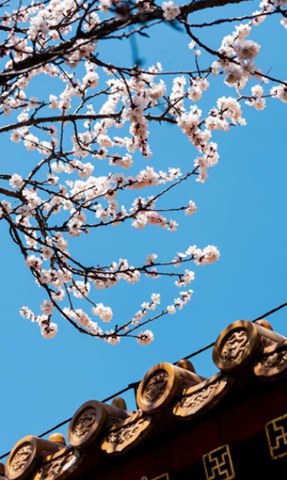 全国3月平均气温偏高 中东部大部入春偏早