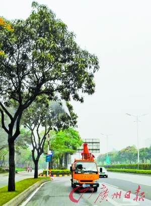 绿化芒打药节育这可不是愚人节玩笑