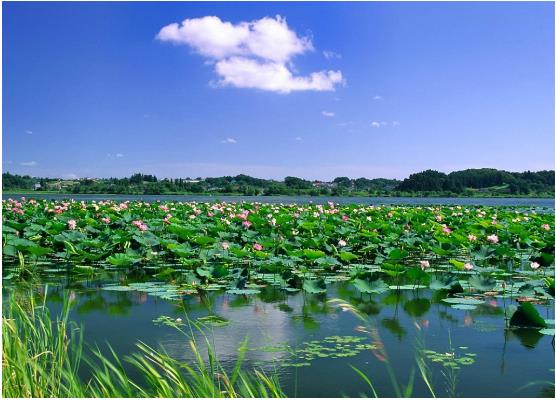 七彩阜宁梦,欢乐水乡情 - 新闻频道 - 黔南在线-